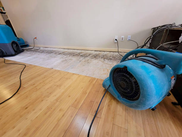 Professional Structural Drying technician working in Ardenvoir, WA